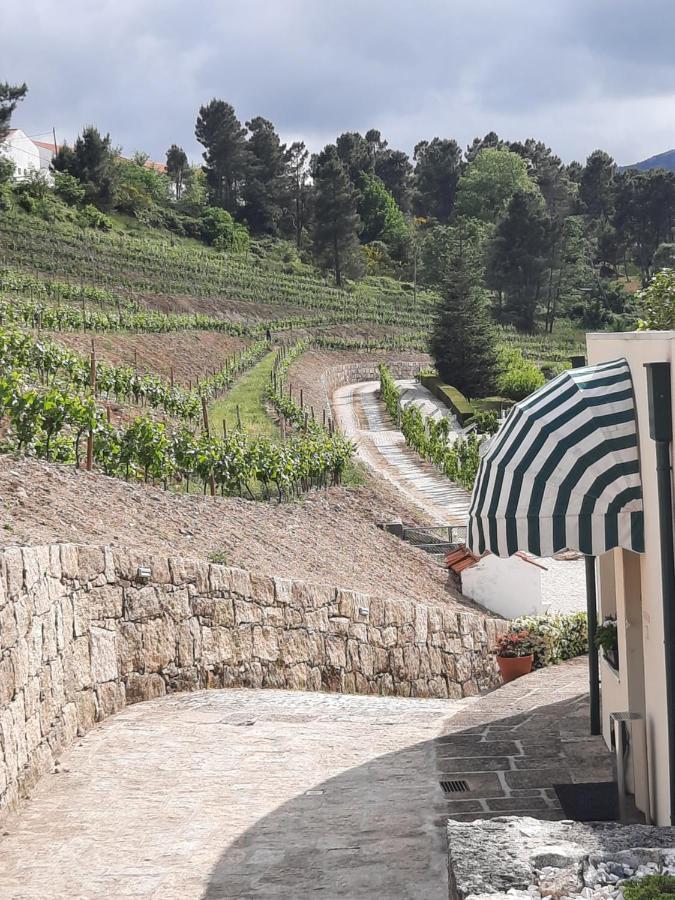 Quinta Da Timpeira Guest House Lamego Exterior photo
