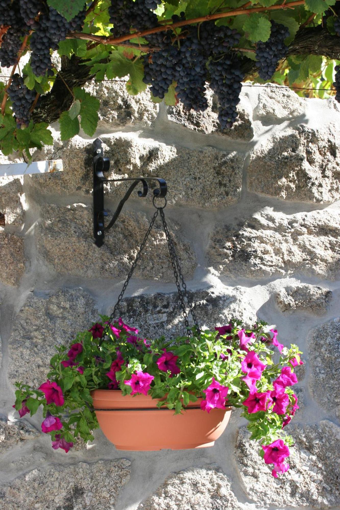 Quinta Da Timpeira Guest House Lamego Exterior photo