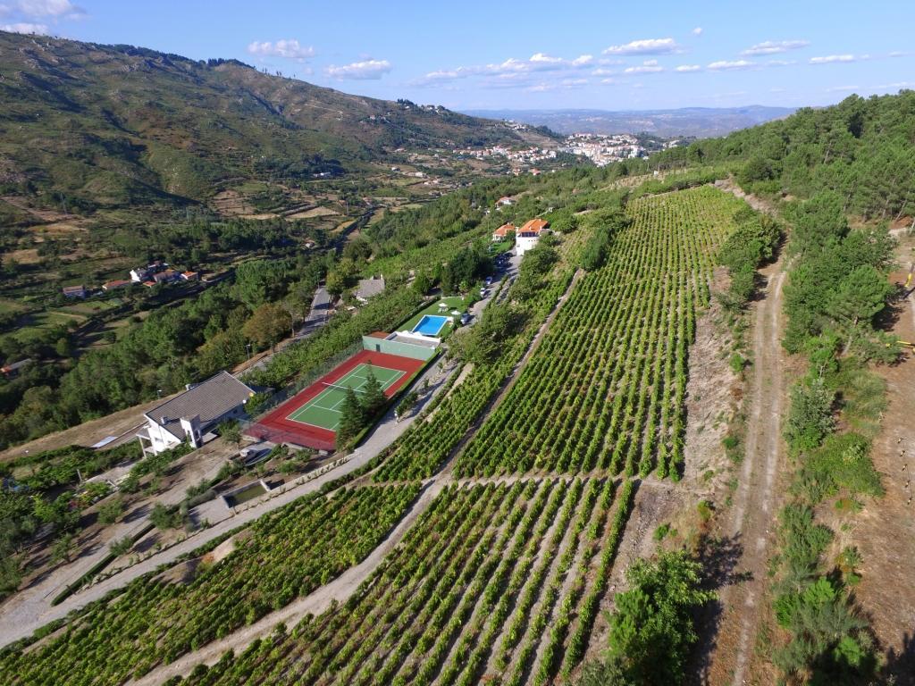 Quinta Da Timpeira Guest House Lamego Exterior photo