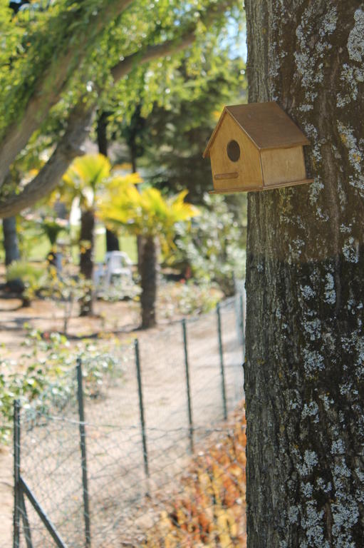 Quinta Da Timpeira Guest House Lamego Exterior photo