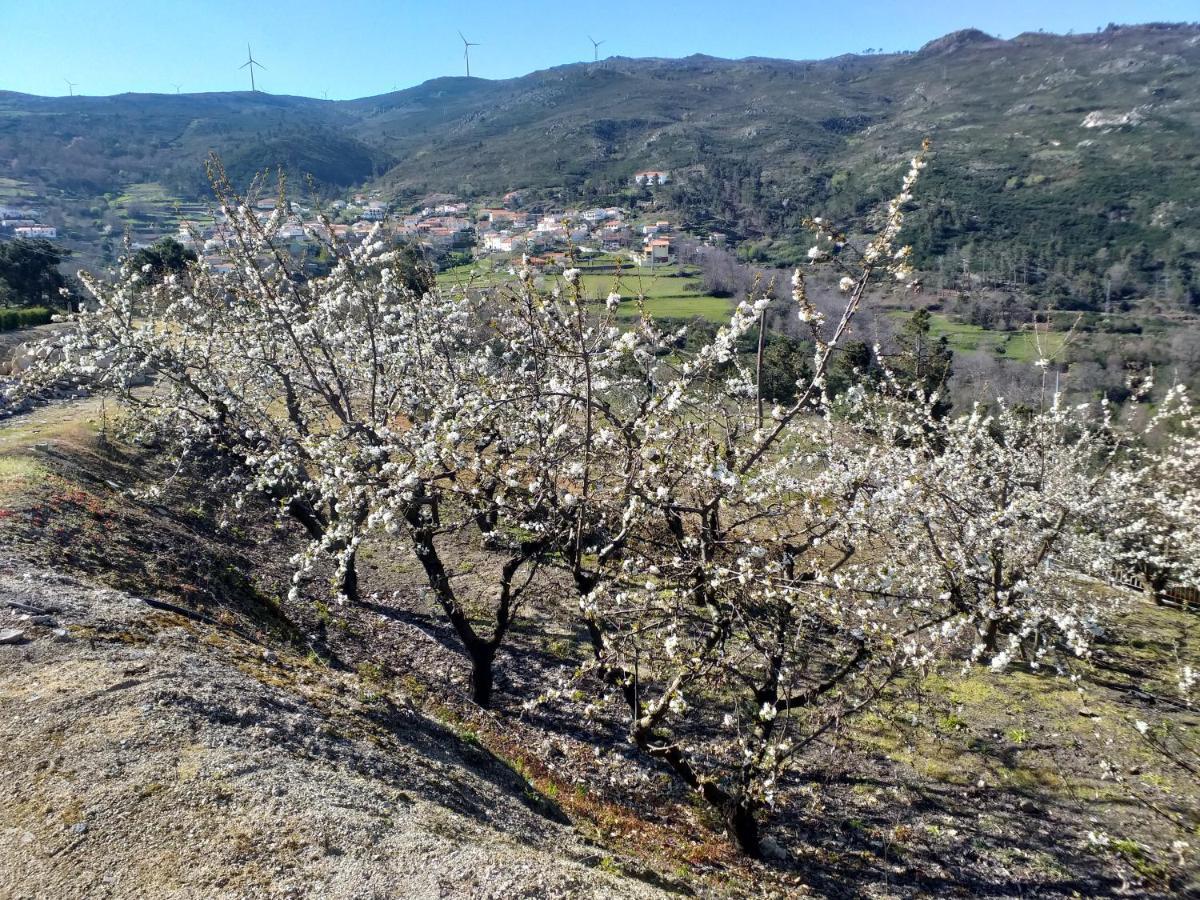 Quinta Da Timpeira Guest House Lamego Exterior photo